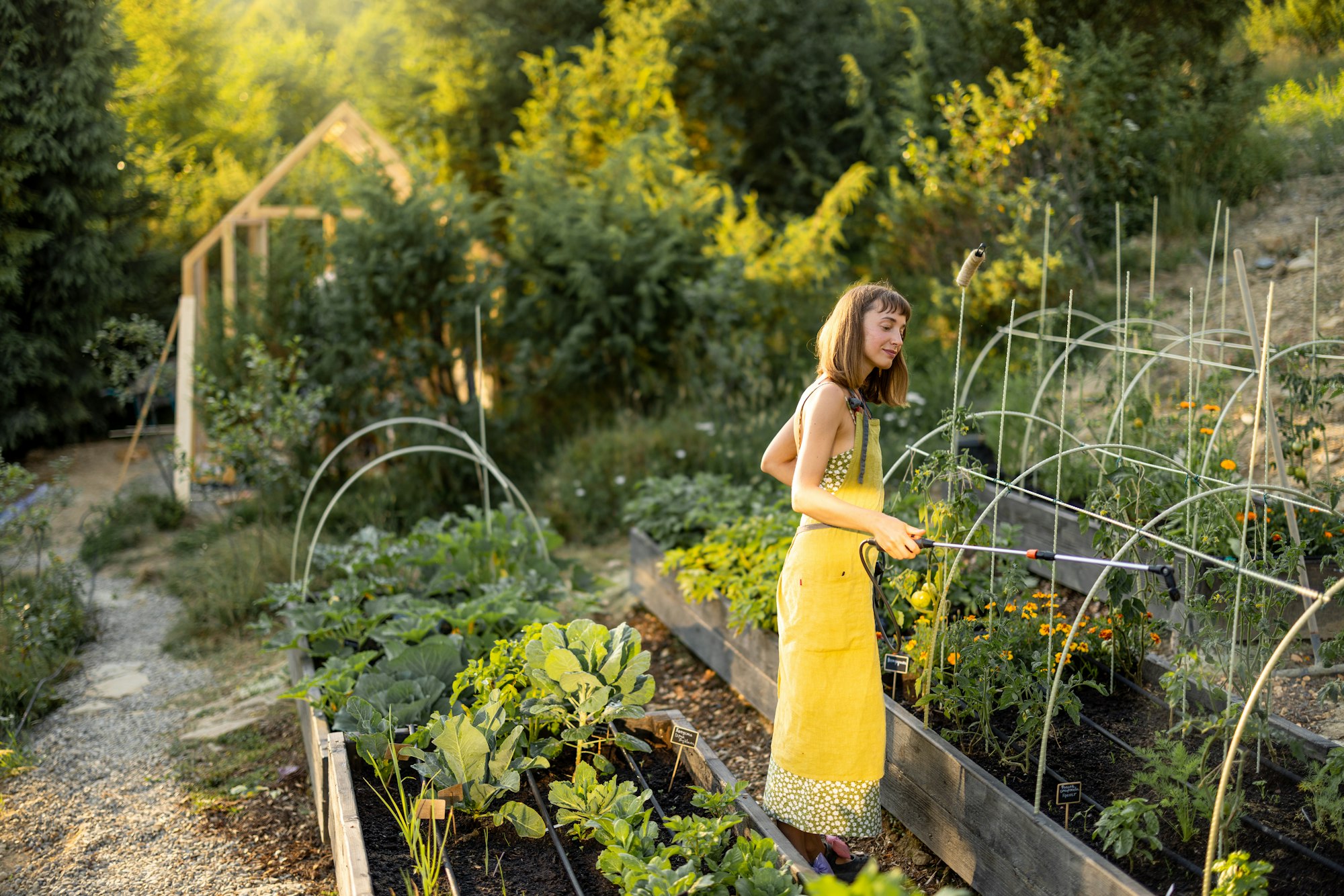 Organic Gardening in Raised Beds